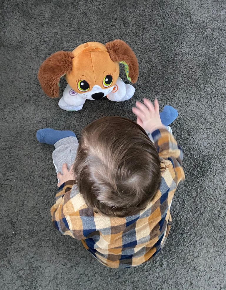 vtech interactieve knuffel